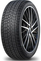 Winter Pro Tss1