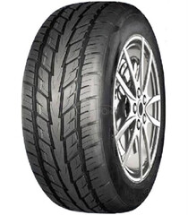 Speedking 07
