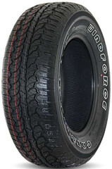 Catchfors A/T
