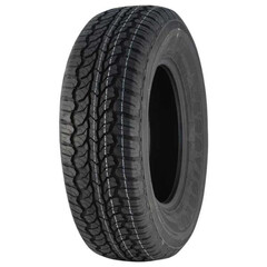 Catchfors At