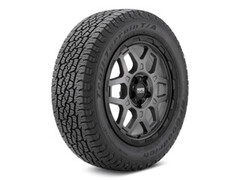 Trail-Terrain T/A Go