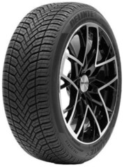 Шина Delinte Aw6 185/50R16 81H