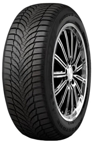 Шина Roadstone Eurovis Alpine 2 185/55R16 87T